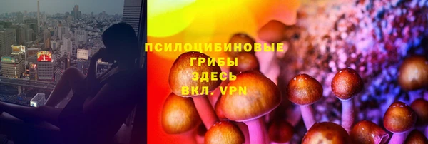a pvp Алексин