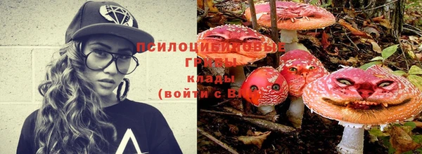 спайс Алзамай