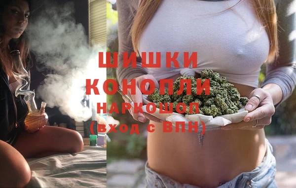 спайс Алзамай