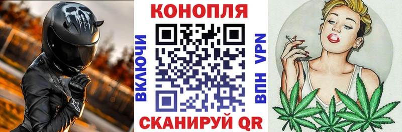 Бошки Шишки ГИДРОПОН  как найти   Балашиха 